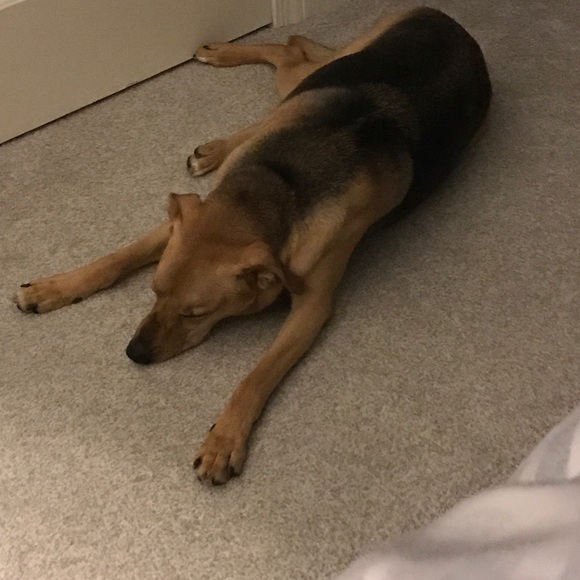 Meet your Posher, Sarah - Picture 1 of 1